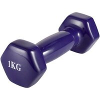 VictoryFit VF-DV010 1 кг