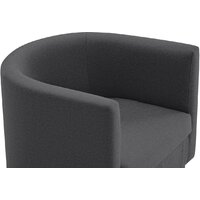 Mio Tesoro Агата 351 (темно-серый 1173) Image #11