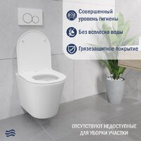 Lauter Longer 2110822 с кнопкой 219701HD (узкая, хром) Image #6