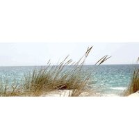 Stamprint Энергия моря SN016 (65x150)