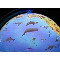 Globen Зоогеографический Классик Евро с подсветкой Ке012500270 Image #3