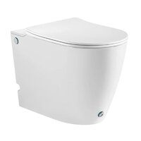 Roxen Vario 620260-01 с импульсным смывом Image #2