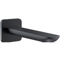 IDDIS Slide SLIBL00i63