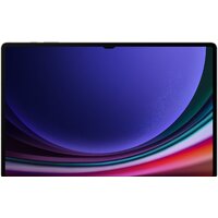 Samsung Galaxy Tab S9 Ultra Wi-Fi SM-X910 16GB/1TB (кремовый) Image #2