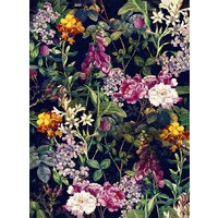 Vimala На холсте 50x70 Арт 31