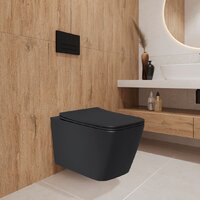 Lauter Magdeburg 21103EC + 21901002 (кнопка прямоугольная, черный) Image #13