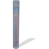 Белкартография Мир (в тубусе) Image #5