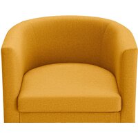 Mio Tesoro Агата 351 (горчичный 1172) Image #8