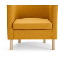 Mio Tesoro Агата 351 (горчичный 1172) Image #10