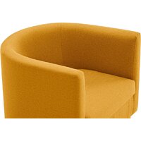 Mio Tesoro Агата 351 (горчичный 1172) Image #11