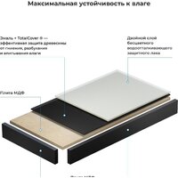 Wellsee Genuine Tree 162021000, 80 см (столешница) Image #2