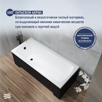 Lauter Bianca 170 21207170 (с ножками, черным подголовником и черным лиц. экраном) Image #4