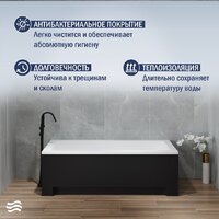 Lauter Estelle 150 21206050 (с каркасом, лицевым экраном черного цвета) Image #6