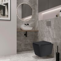 Lauter Magdeburg 21103EC + 21901002 (кнопка круглая, черный) Image #15