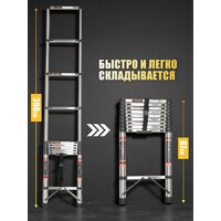 Sundays KN072403 Image #6