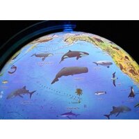 Globen Зоогеографический с подсветкой Ке012100208 Image #3