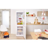 Холодильник Indesit DS 4200 W - Превью изображения №3 — Интернет-Магазин TECNO.BY