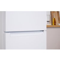 Холодильник Indesit DS 4200 W - Превью изображения №4 — Интернет-Магазин TECNO.BY