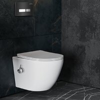 Roxen Antares Bidet в комплекте с инсталляцией StounFix Dual Fresh 6 в 1 963184 (кнопка: черное стекло) Image #11