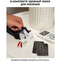 Planta EMS-300 Image #11