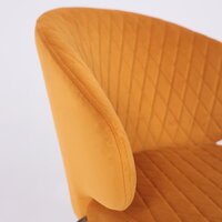 Мамадома ROB-R1 360 (d16 Ochre Lux\черный) Image #9