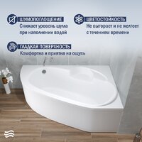 Ванна Lauter Valencia 140x95 2102140R (с каркасом и сифоном 21Y11021 матовый черный) - Превью изображения №4 — Интернет-Магазин TECNO.BY