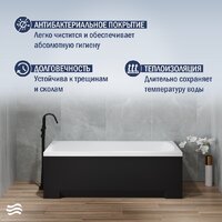 Lauter Bianca 140 21207140 (с ножками, черным подголовником и черным лиц.экраном) Image #6