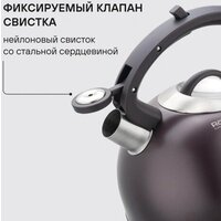 Чайник со свистком Rondell Tierno RDS‑1900 - Превью изображения №4 — Интернет-Магазин TECNO.BY