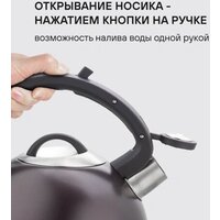 Чайник со свистком Rondell Tierno RDS‑1900 - Превью изображения №3 — Интернет-Магазин TECNO.BY