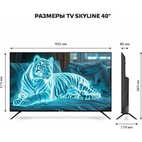 Skyline 40LST6385 Image #10