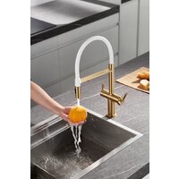 Rose R458G Image #10