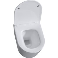 Roxen Simple Compact в комплекте с инсталляцией StounFix Dual Fresh 6 в 1 868529 (кнопка: белый глянцевая) Image #9