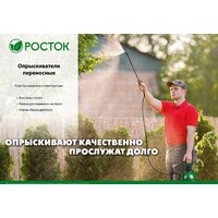 Росток RT-3 425113 Image #6