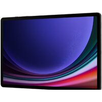Samsung Galaxy Tab S9+ Wi-Fi SM-X810 12GB/512GB (графитовый) Image #7