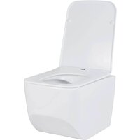 Roxen Boro в комплекте с инсталляцией StounFix Dual Fresh 6 в 1 968433 (кнопка: сатин) Image #5