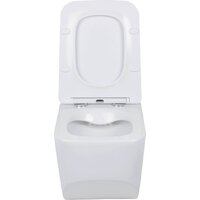 Roxen Boro в комплекте с инсталляцией StounFix Dual Fresh 6 в 1 968433 (кнопка: сатин) Image #9