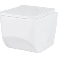 Roxen Boro в комплекте с инсталляцией StounFix Dual Fresh 6 в 1 968433 (кнопка: сатин) Image #3