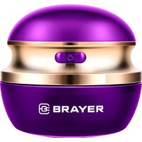 Brayer BR5031
