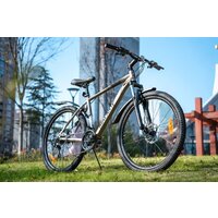 Nialanti Slash MD 26 р.18 (бронзовый, разобранный) Image #13