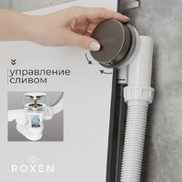 Roxen R70A-GM Image #2