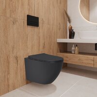 Lauter Augsburg 21109EC + 21901002 (кнопка прямоугольная, черный) Image #13