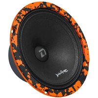 DL Audio Barracuda 165 SE