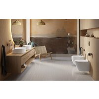 Uptrend Caneo Rimless TR2196DF (с сиденьем) Image #4