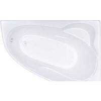 Triton Николь 160x100R (с каркасом, экраном и сифоном)