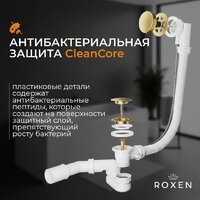 Roxen R70A-G Image #4