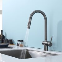 Splenka S204.49.09 Image #2