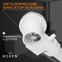 Roxen R70A-CH Image #6