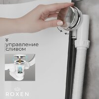 Roxen R70A-CH Image #2