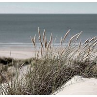 Картины, постеры, гобелены, панно