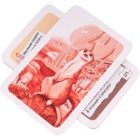 Стиль Жизни Элементарно! Для детей. Тайна пропавшего суриката Image #3